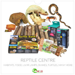Reptile Centre