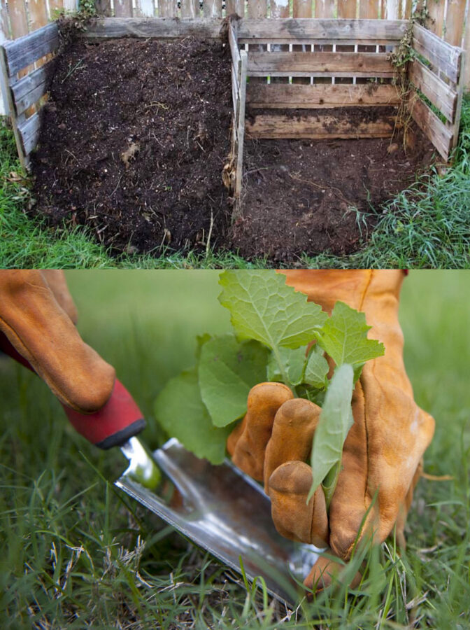 Home compost and weeding from Spring Garden tips blog