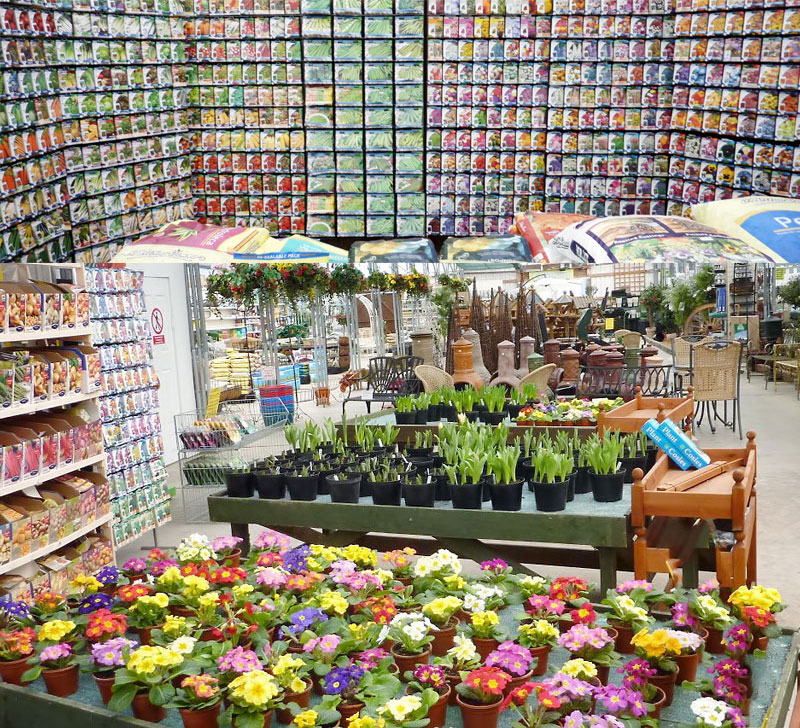 Spring seeds and bulbs. UK