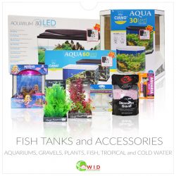 Fish tanks and accessories