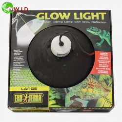 Glow Light Large