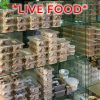 live food for reptiles