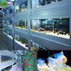 tropicial and cold water fish supplies UK